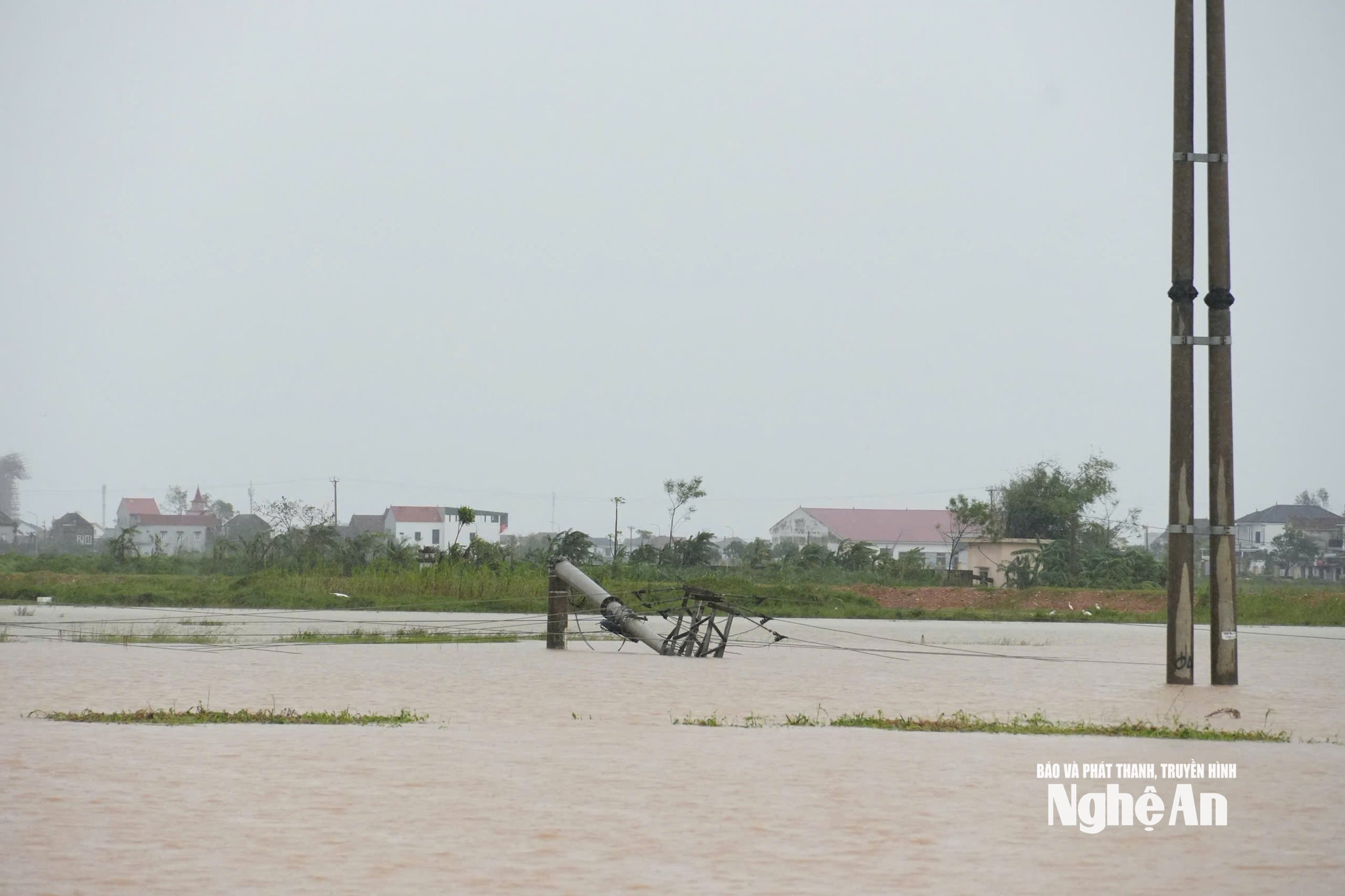 Cột 1