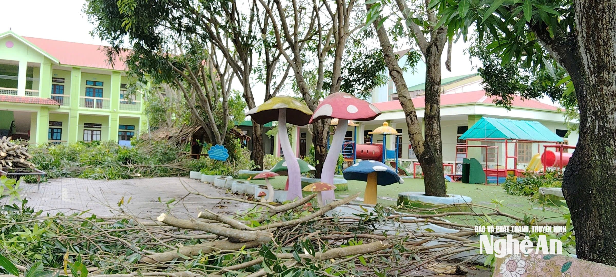 MN Nghi Thai