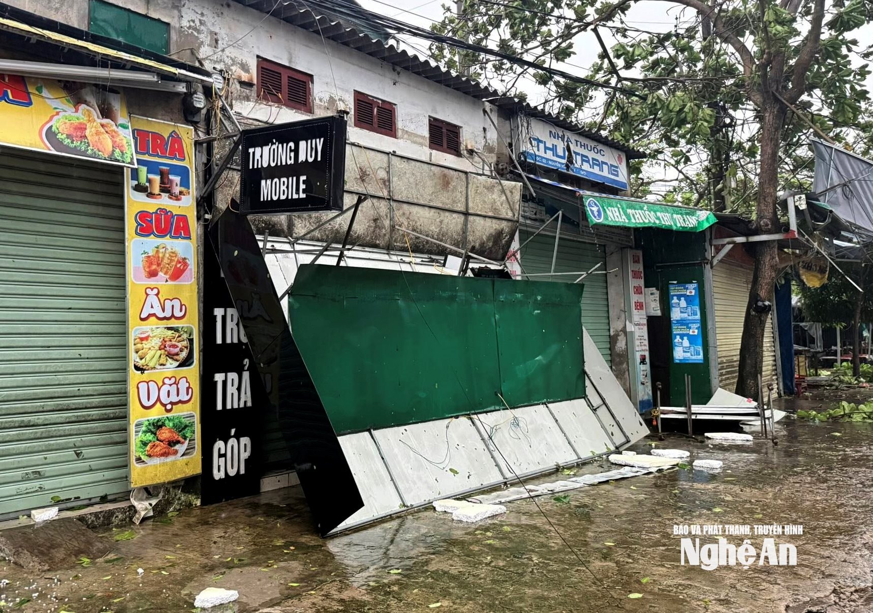 ng viet xuan
