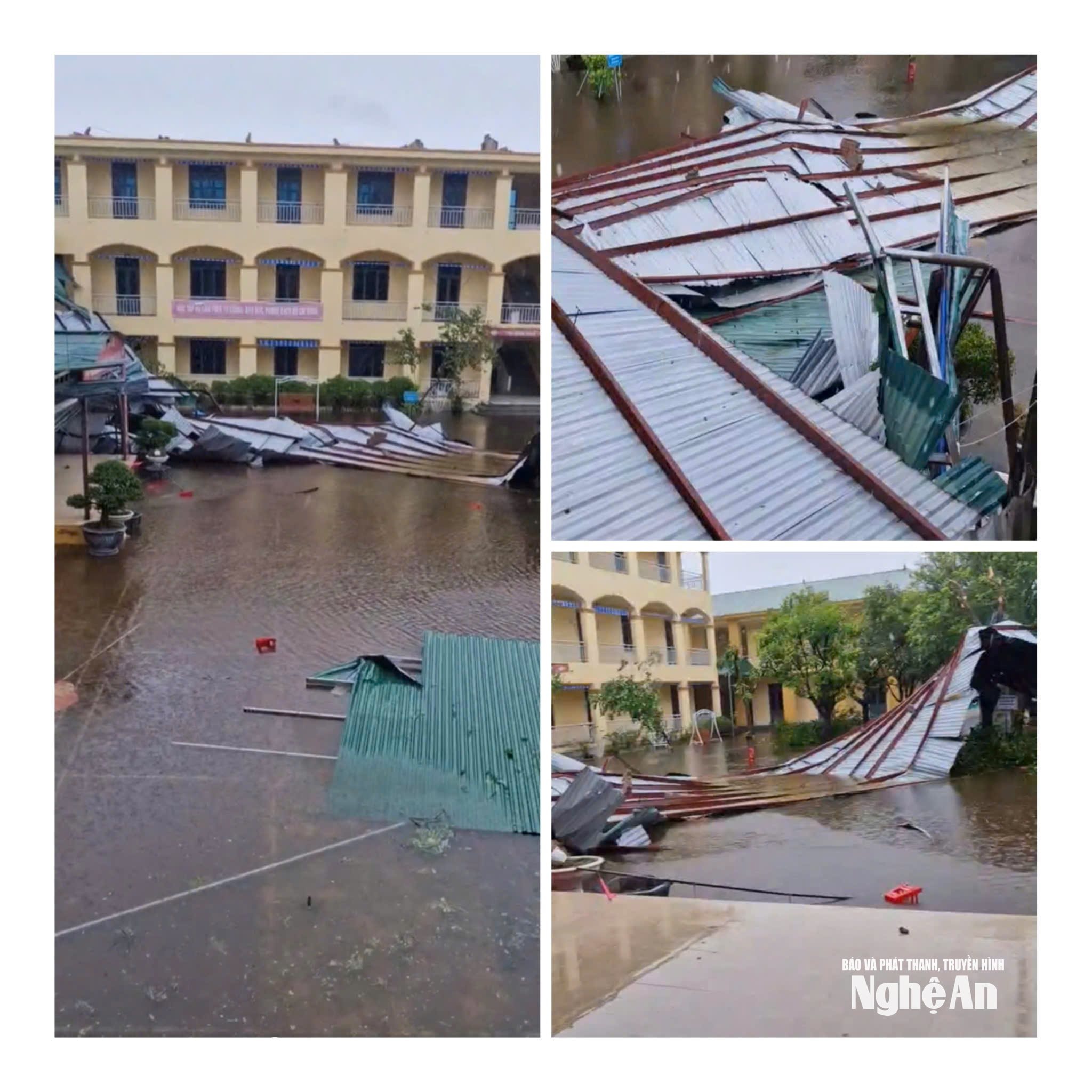 Trường THCS Hải Hòa