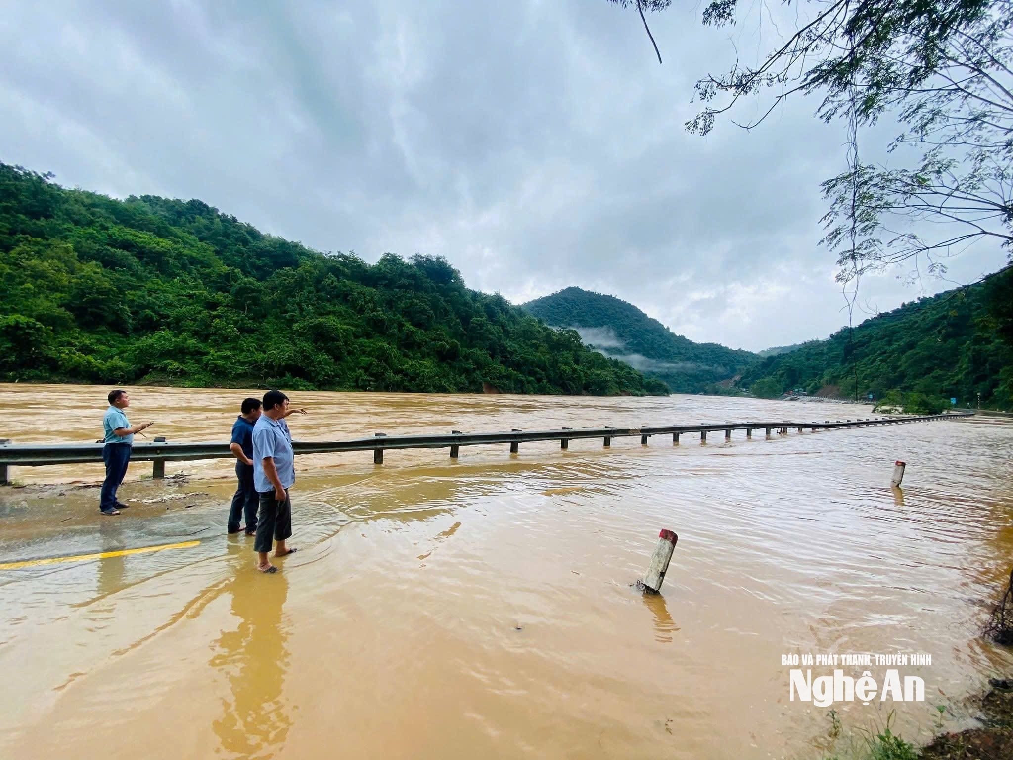  Lữ Phú 7