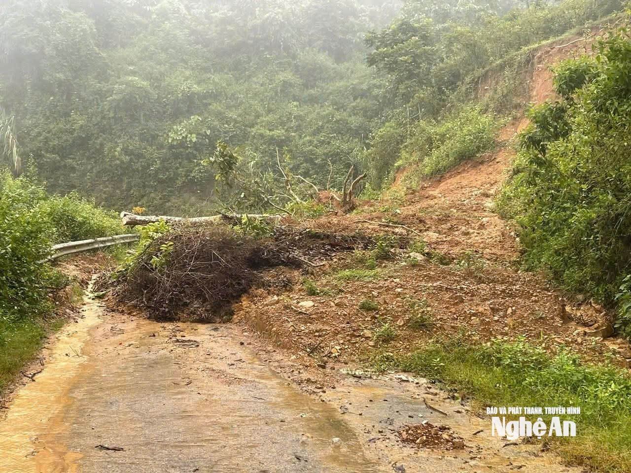 Lu phú4