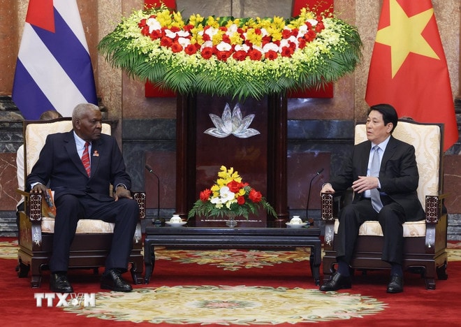 ttxvn-chu-tich-nuoc-luong-cuong-tiep-chu-tich-quoc-hoi-cuba-4.jpg