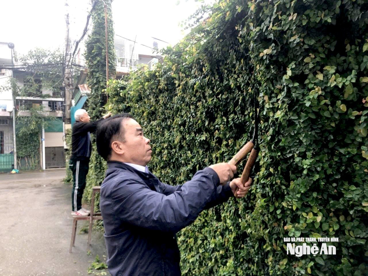 bác Xoan người cao tuổi Ảnh NVCC00000