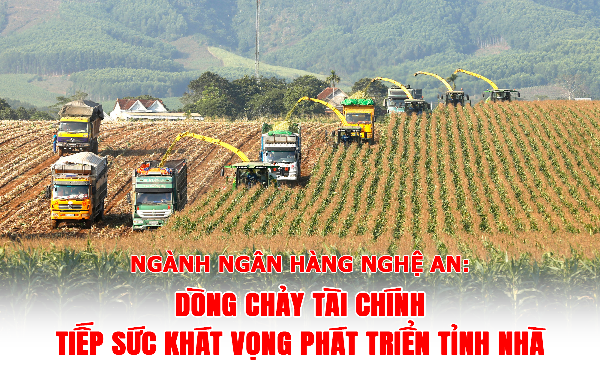 tieu de - ngang