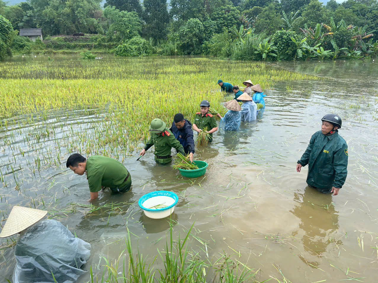 Thủ tướng yêu cầu phải thần tốc hơn nữa, huy động tối đa lực lượng khắc phục nhanh nhất hậu quả bão, mưa lũ- Ảnh 1.