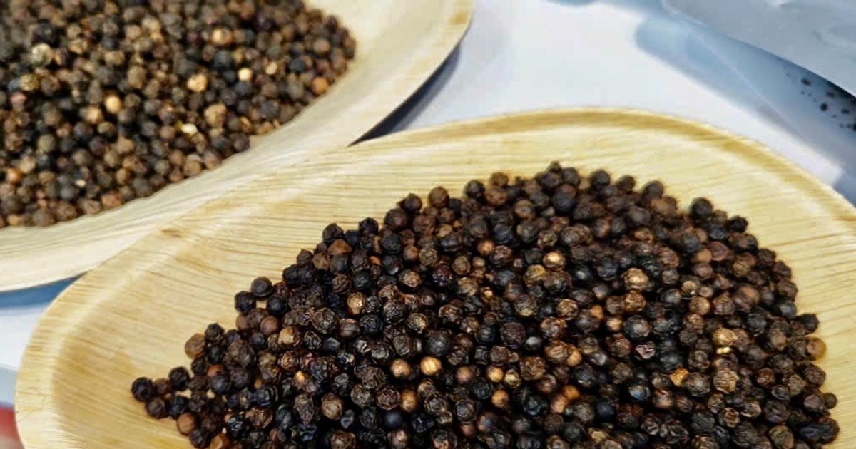 តម្លៃម្រេចថ្ងៃនេះ ថ្ងៃទី 3 ខែតុលា ឆ្នាំ 2025៖ ការនាំចេញកើនឡើងដល់កម្រិតខ្ពស់បំផុត។