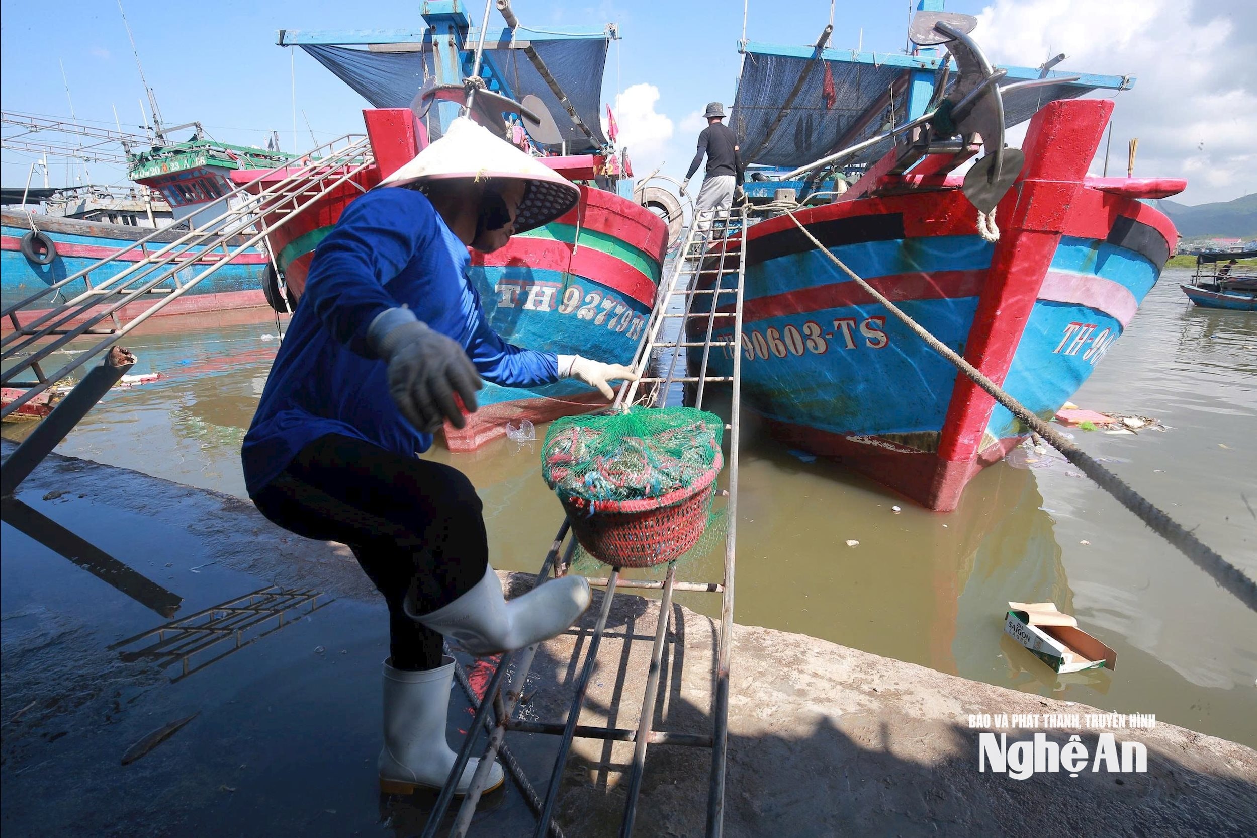 ปู. ภาพ: TP7079895603656_a92cdb52d05179bab2a60bb254cf9cd3