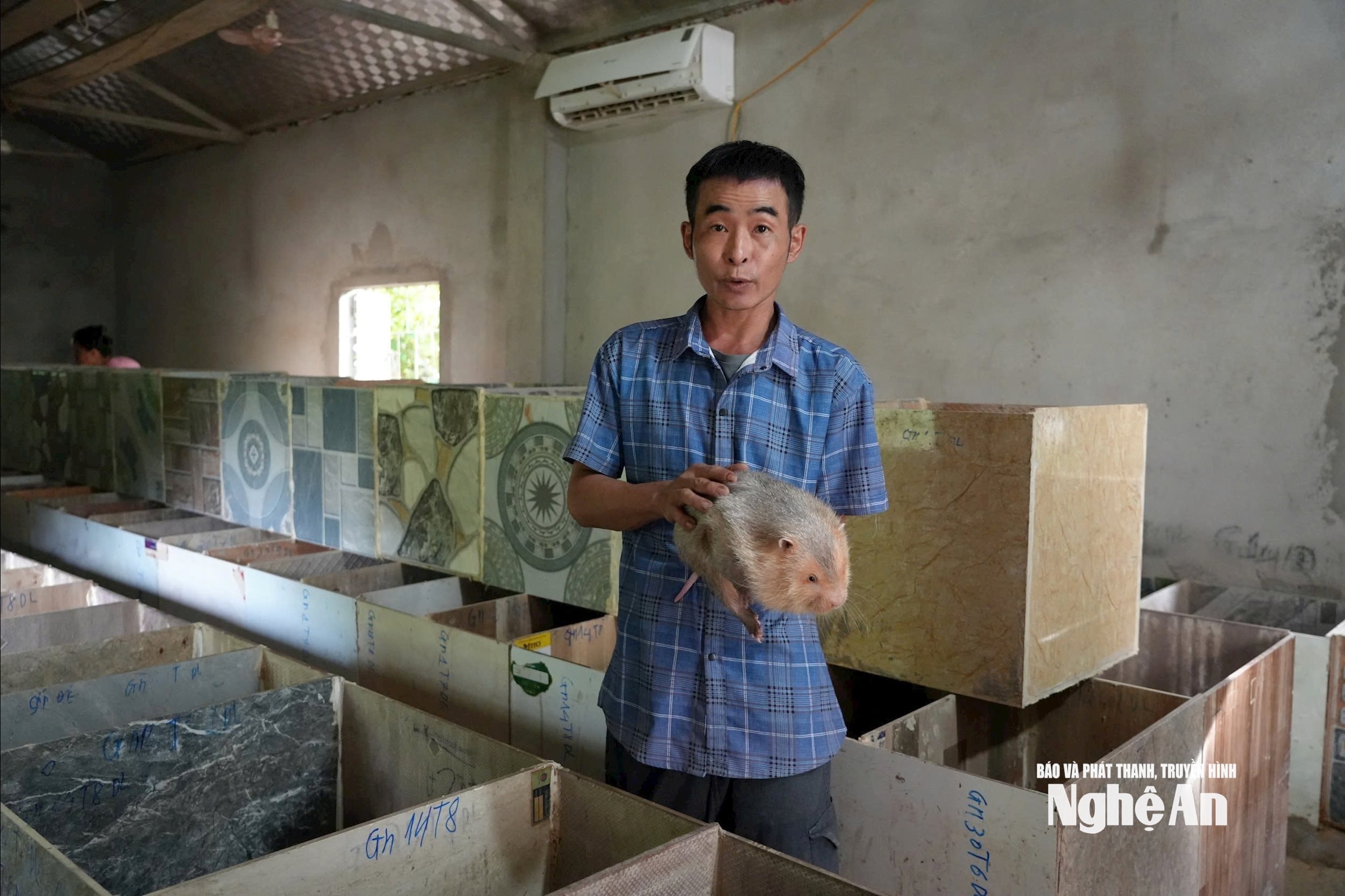 Anh Lộc Văn Chung lập nghiệp thành công từ mô hình nuôi dúi. Ảnh TP