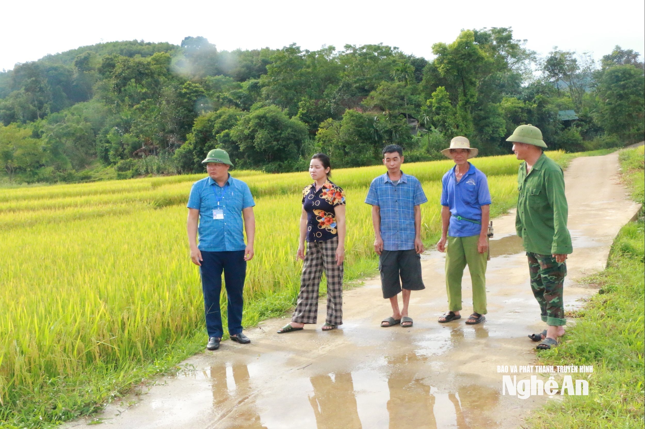 Cán bộ bản Yên Hòa và cán bộ Phòng Kinh tế xã Môn Sơn kiểm tra tình hình sản xuất của người dân. Ảnh G.H