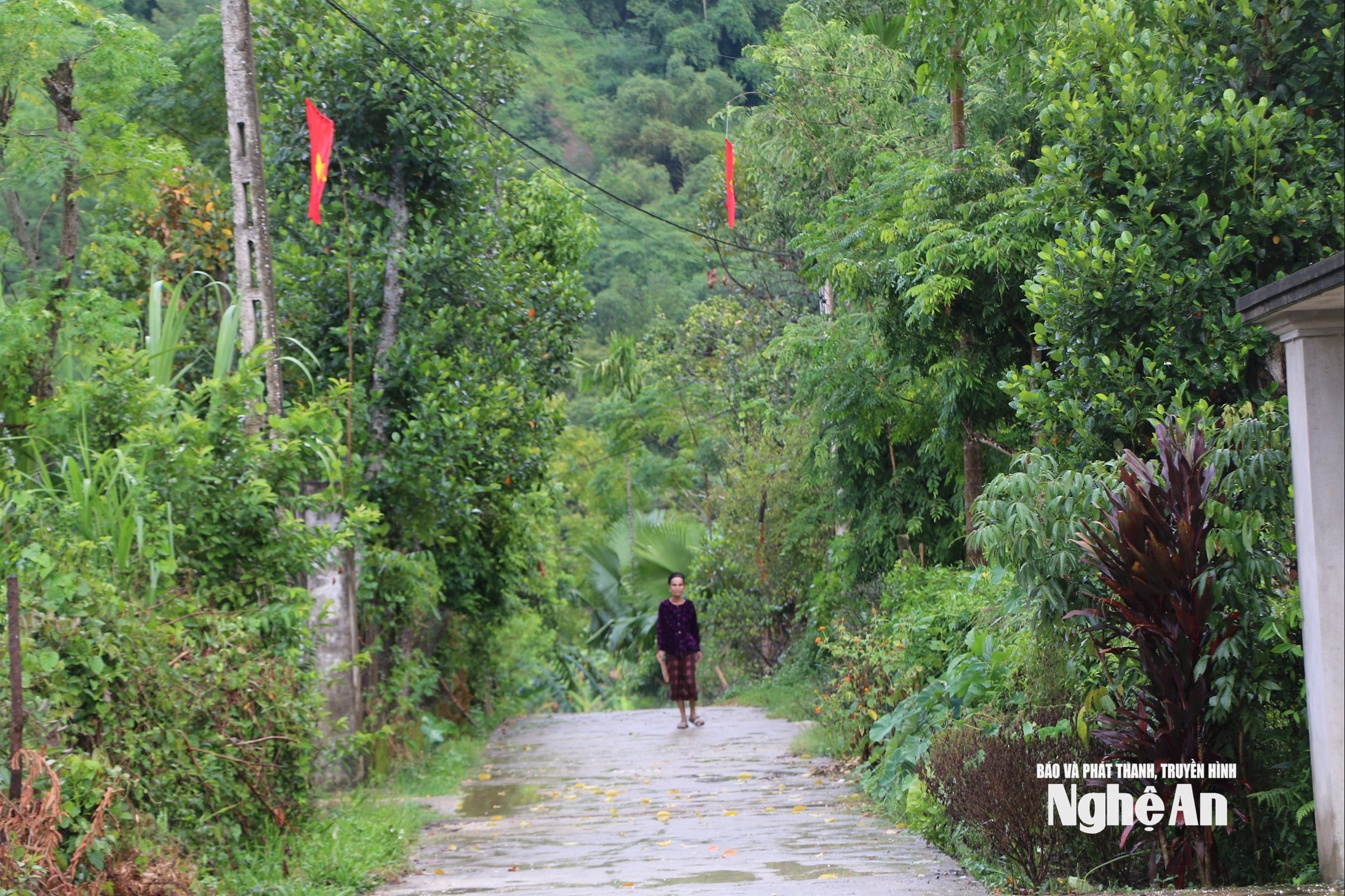 Một góc bản Yên Hòa. Ảnh K.L