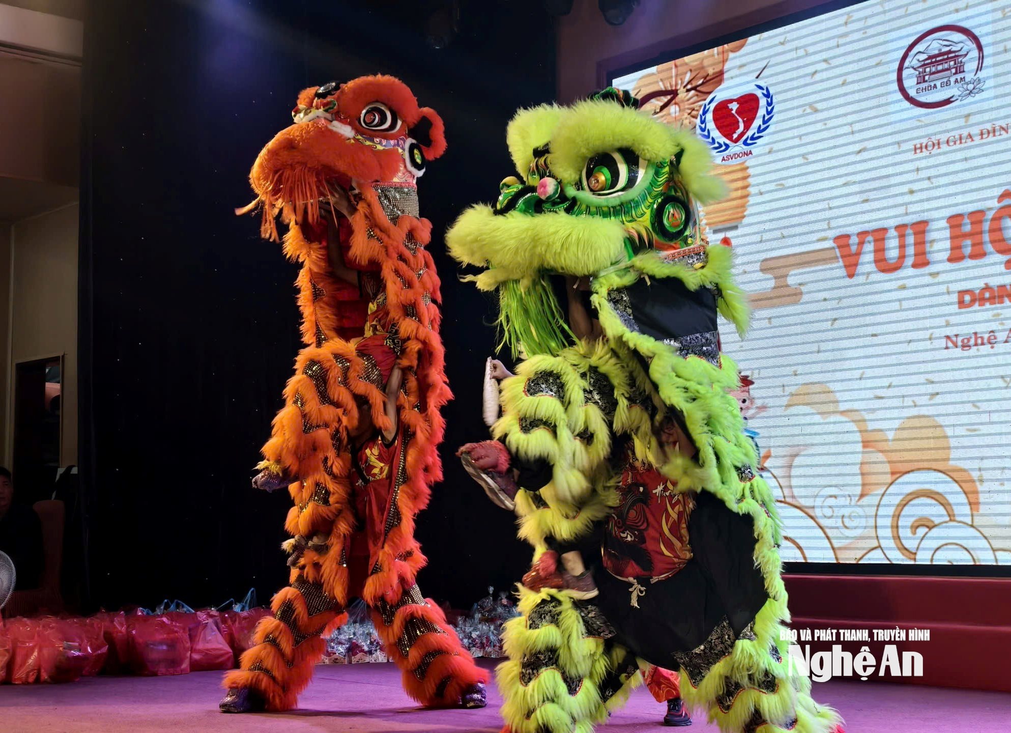 múa lân sư rồng Ảnh Diệp Thanh00003