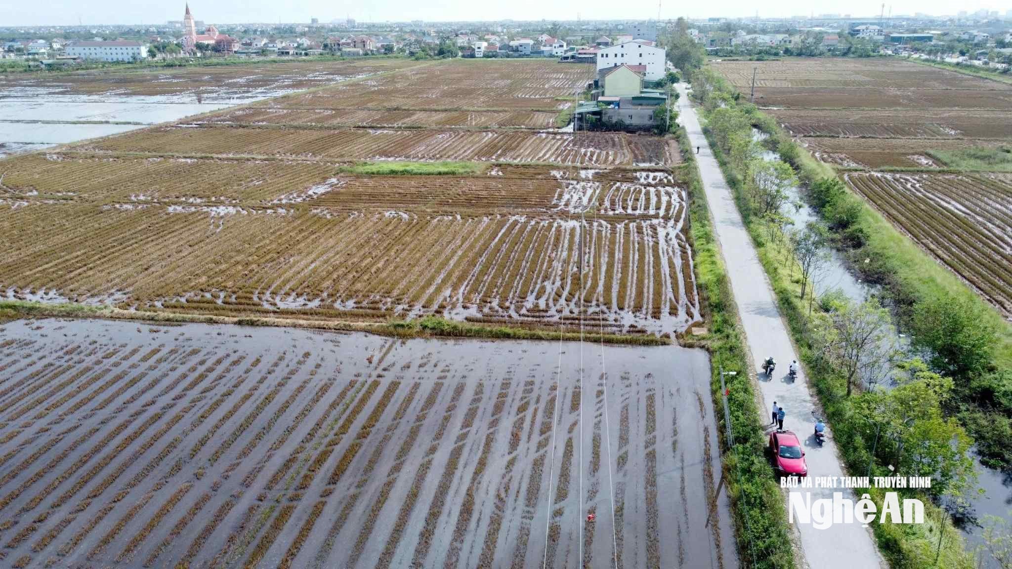 The resettlement area is being surveyed in Nam Ke Gai hamlet, Hung Nguyen commune. Photo: Quan