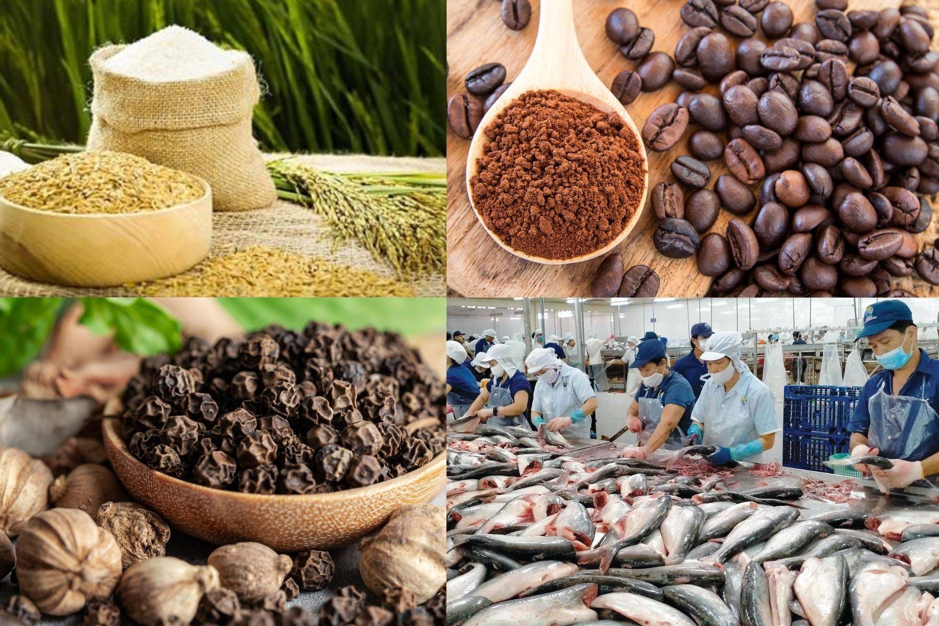 Giá nông sản hôm nay 8/10/2025: Giá lúa gạo, cao su, cà phê, hồ tiêu, heo hơi