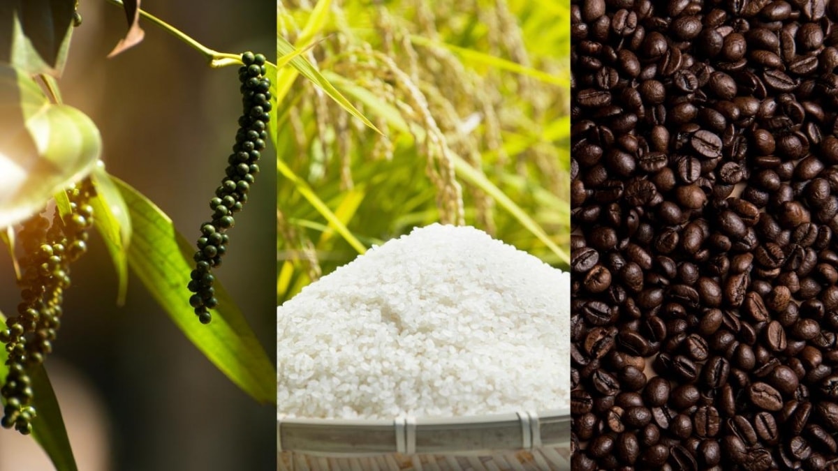 ជៀ-ណង-សាន-ហូម-ណៃ-៩-១០-២០២៥.jpg