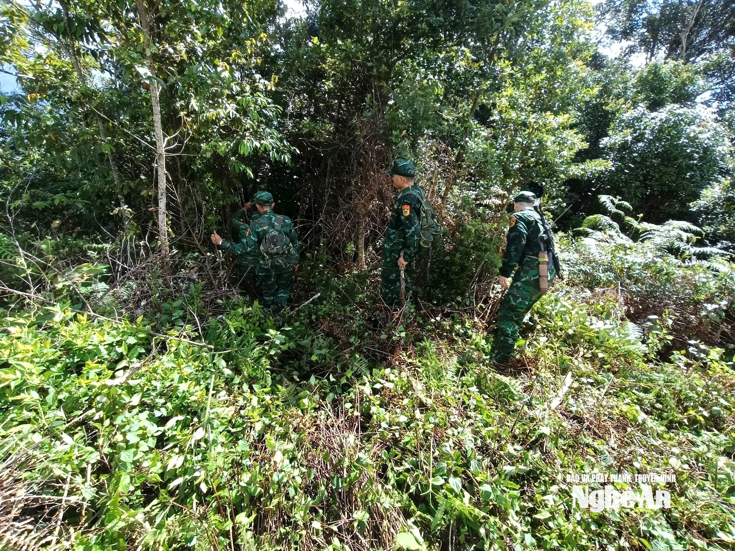 Vừa đi vừa mở đường