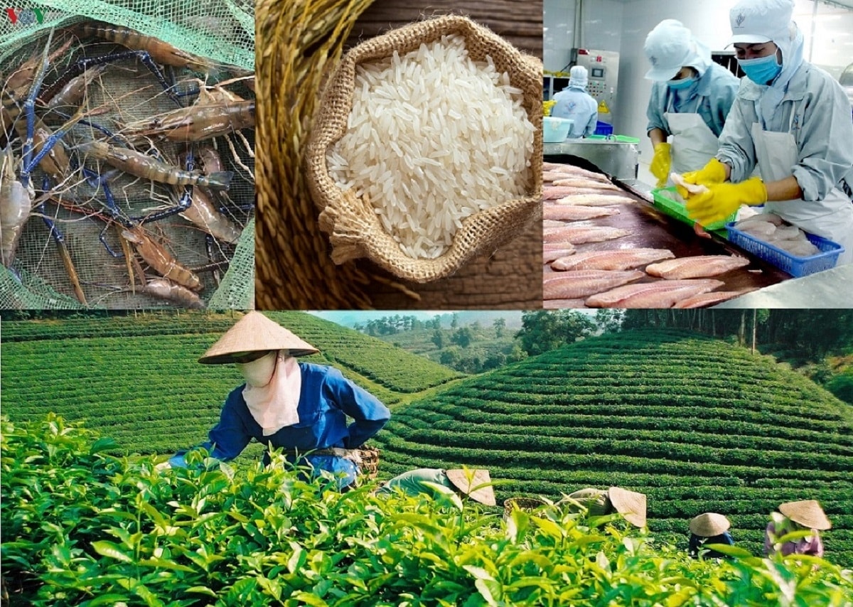 ລາຄາສິນຄ້າກະສິກຳ ມື້ນີ້ ວັນທີ 10 ຕຸລາ 2025: ລາຄາເຂົ້າ, ຢາງພາລາ, ກາເຟ, ໝາກພິກໄທ ແລະ ໝູມີຊີວິດ