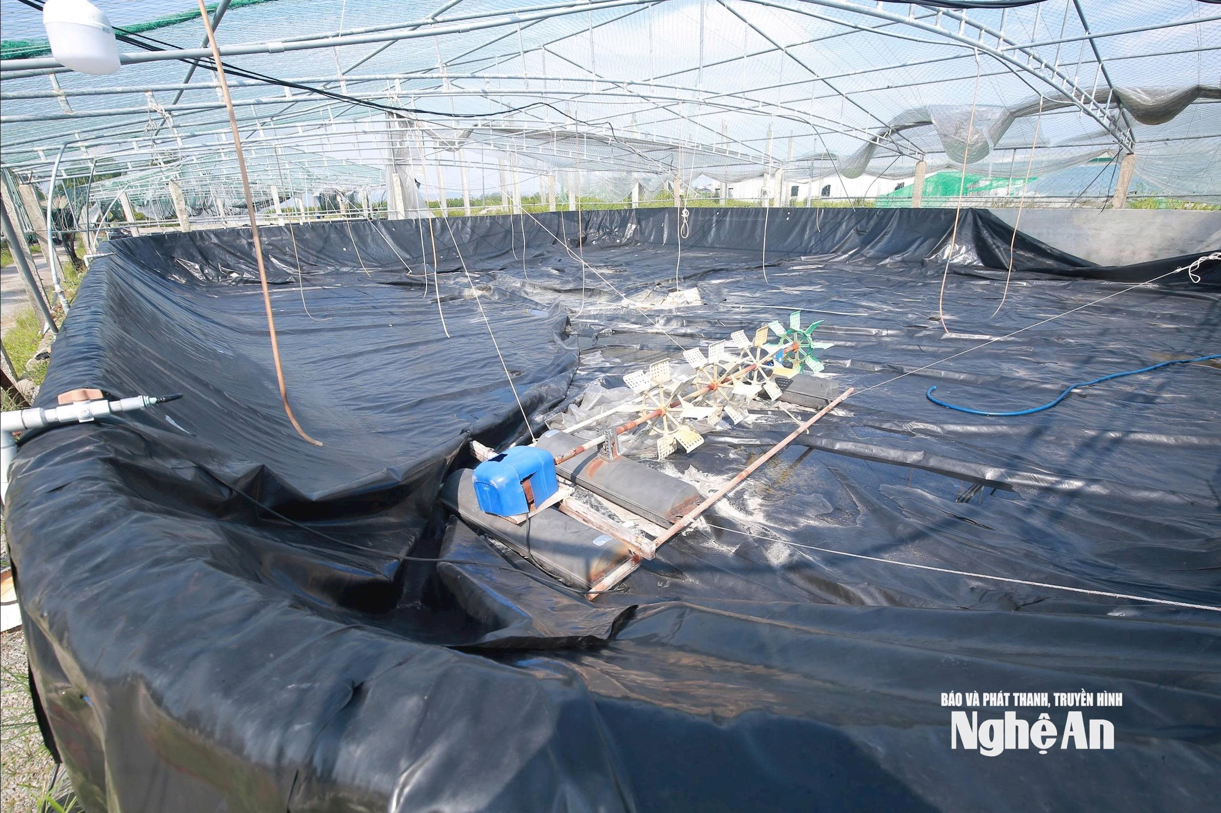  khôi phục. Ảnh: TP7098689315818_669c5b973e8d5f6bed64aa1002e57a42