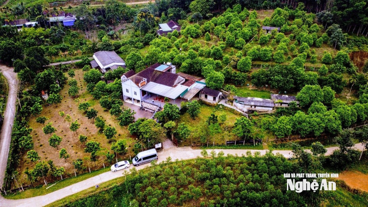 giả 3