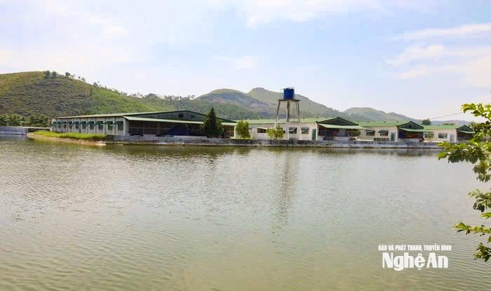 tân 1