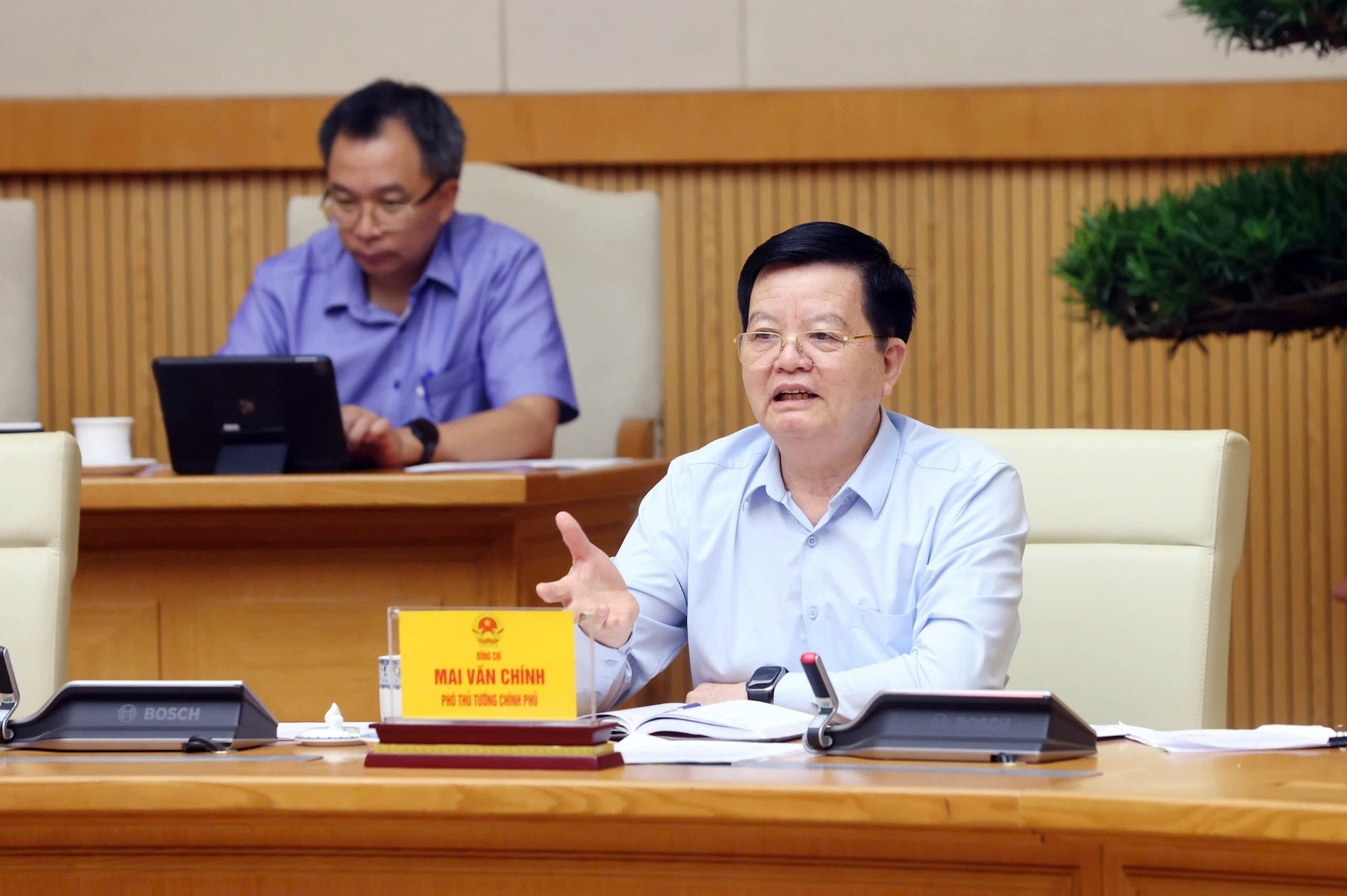 chinh phu mai van chinh.jpeg