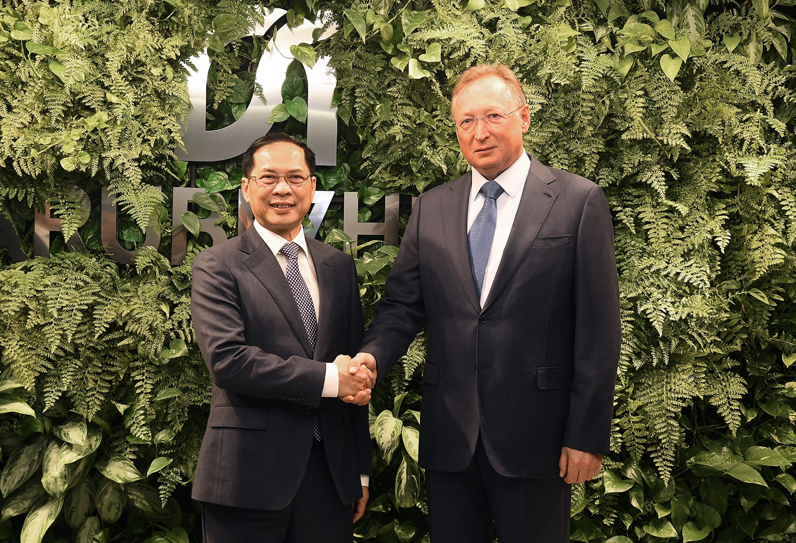 Chính phủ Nga cam kết triển khai sớm, hiệu quả thoả thuận cấp cao với Việt Nam- Ảnh 5.