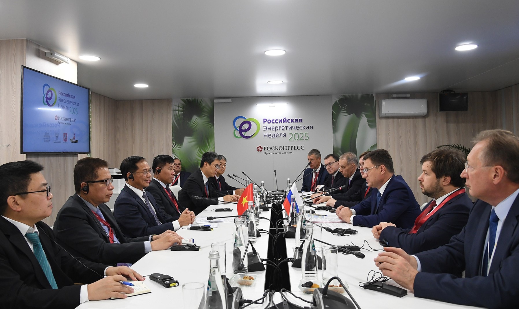 Chính phủ Nga cam kết triển khai sớm, hiệu quả thoả thuận cấp cao với Việt Nam- Ảnh 2.