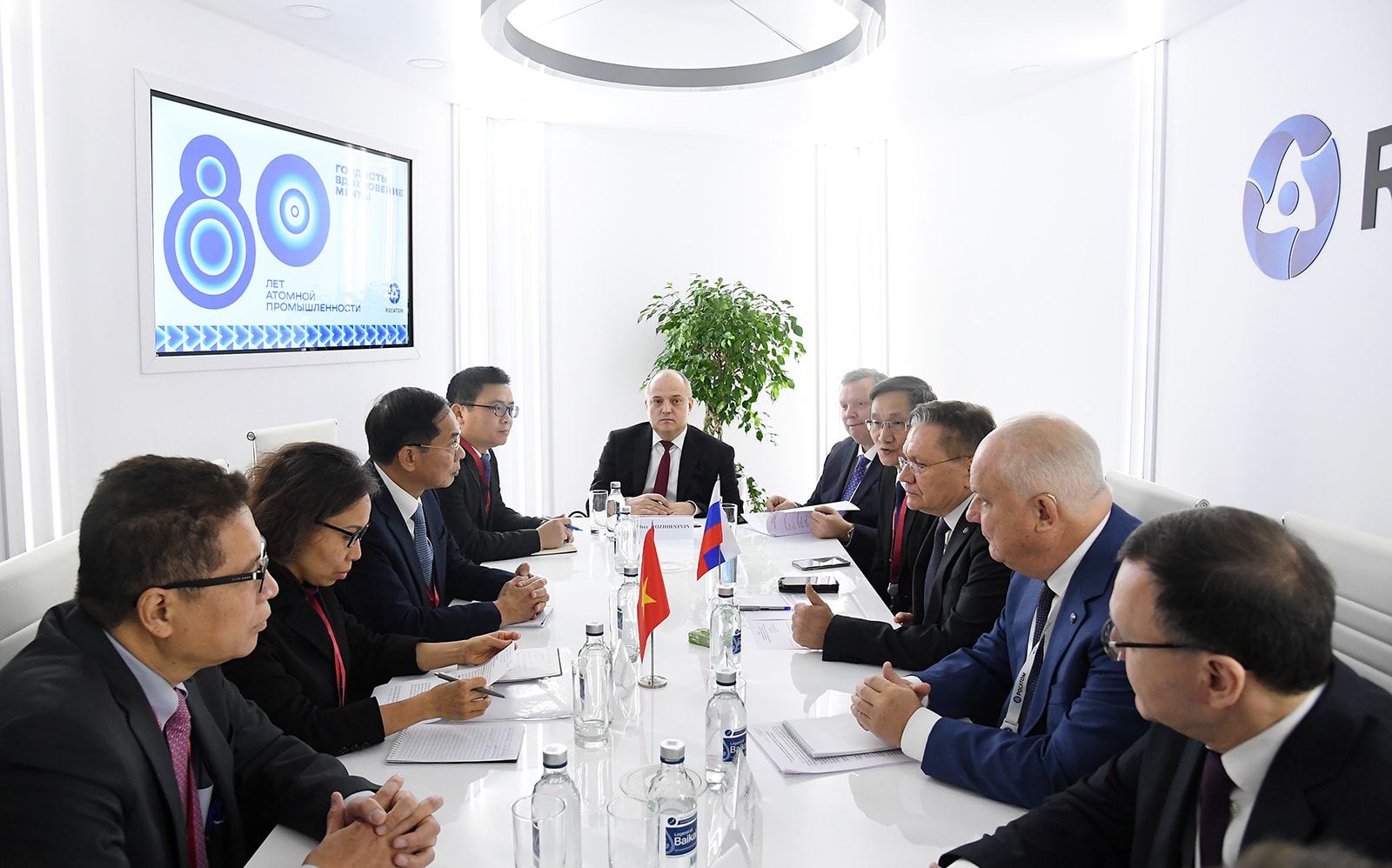 Chính phủ Nga cam kết triển khai sớm, hiệu quả thoả thuận cấp cao với Việt Nam- Ảnh 4.