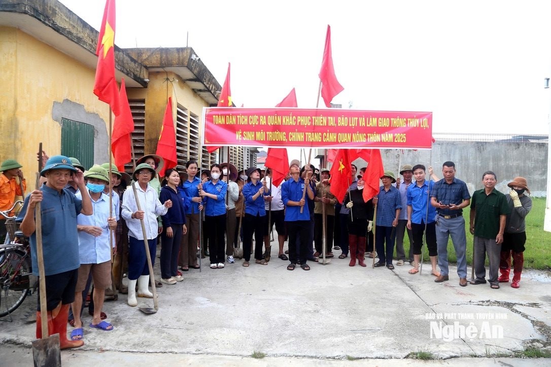 វ៉ាន់ ទ្រុង m466