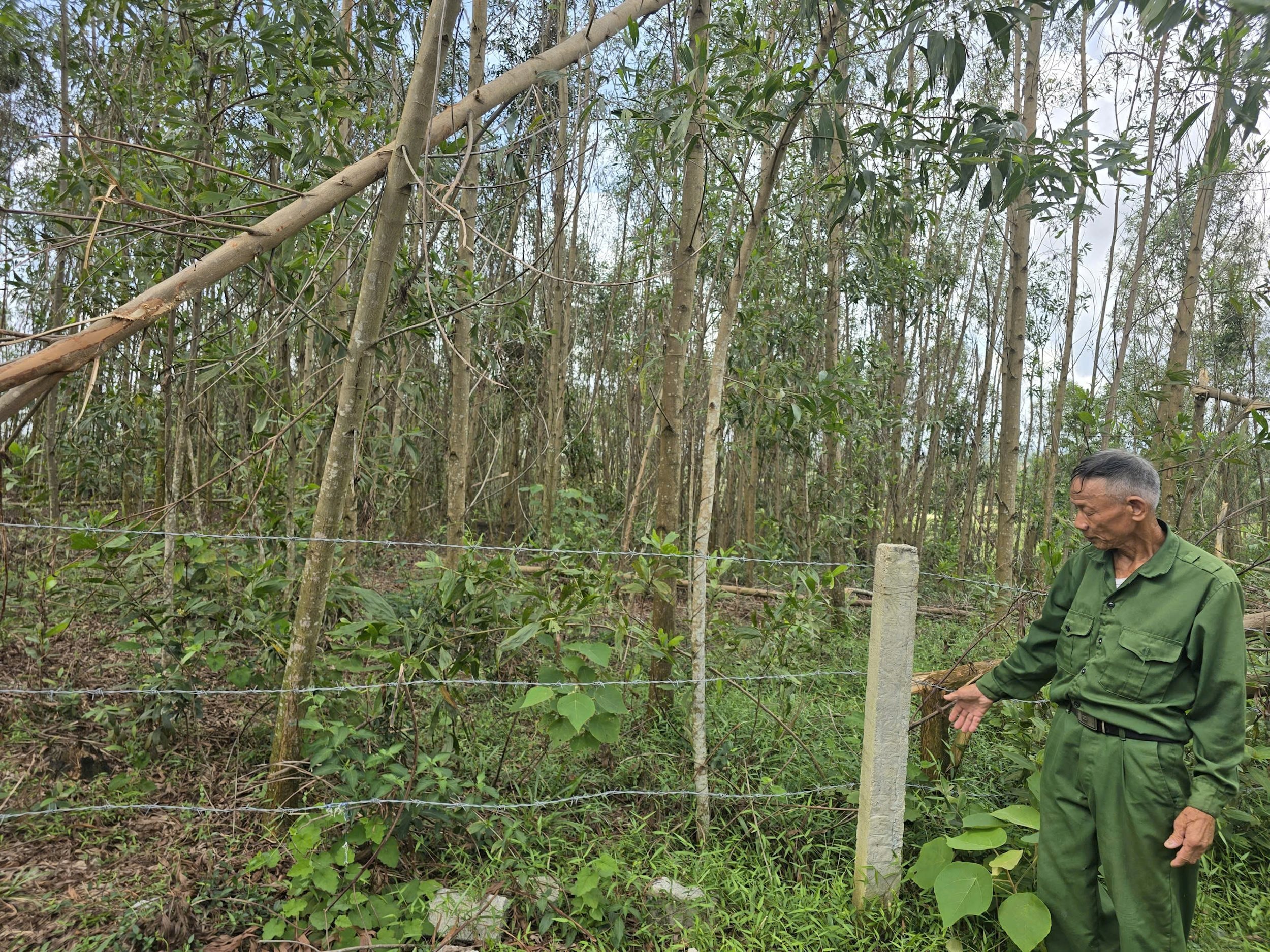 Khu vực nghĩa địa đã bị rào bằng thép gai, gây khó khăn cho người dân đến viếng mộ.