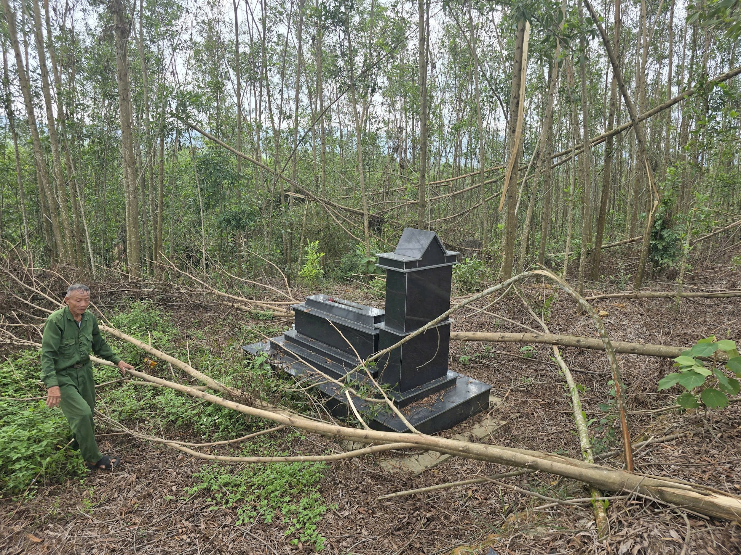 Một ngôi mộ bị cây keo ngã đổ sau bão