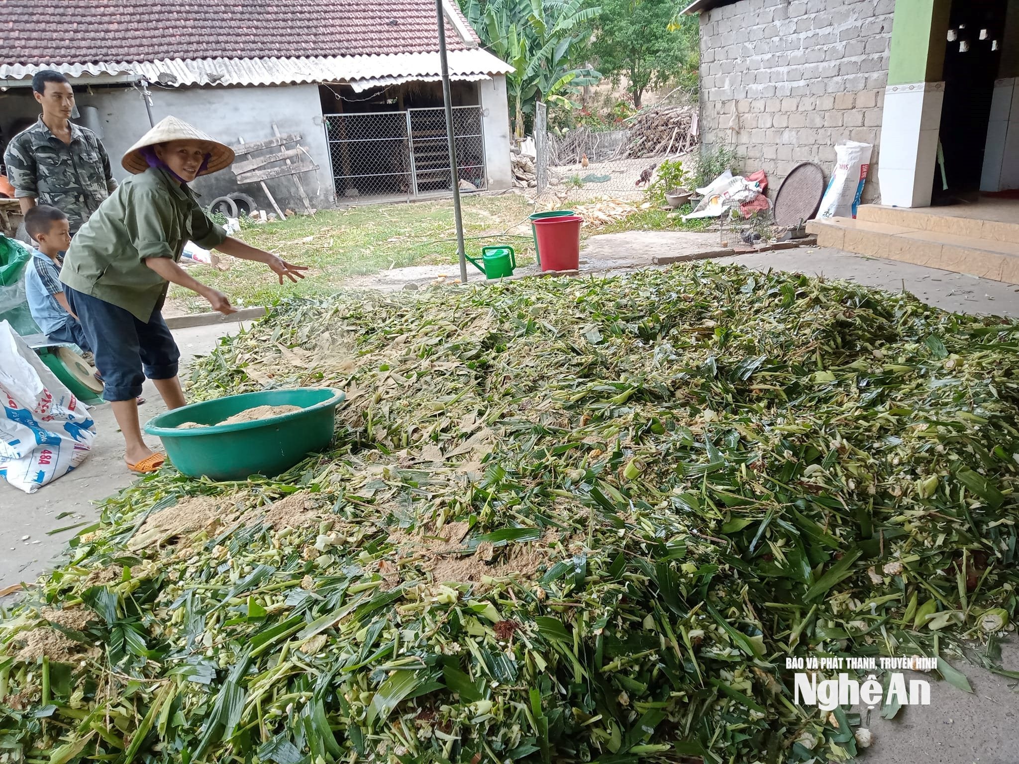 ủ chua thức ăn