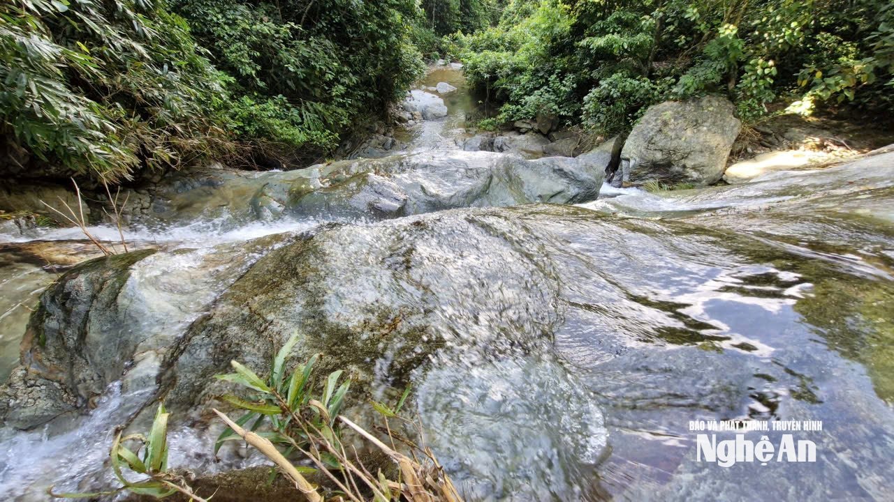 Thác Mưa xuyên qua các cánh rừng, kéo dài bất tận. Ảnh: Vĩnh Hoàng