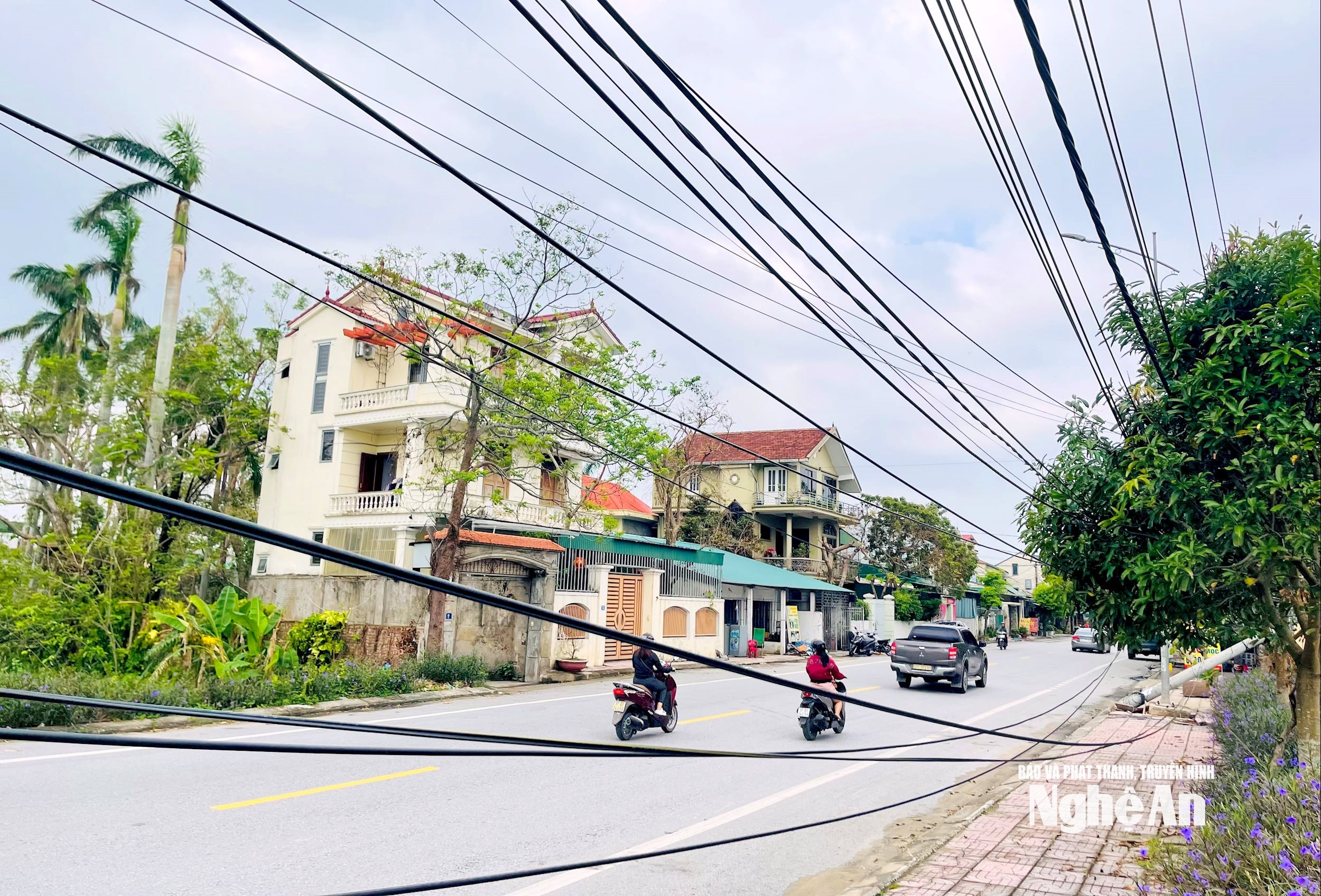 ព្រហ្មចារី