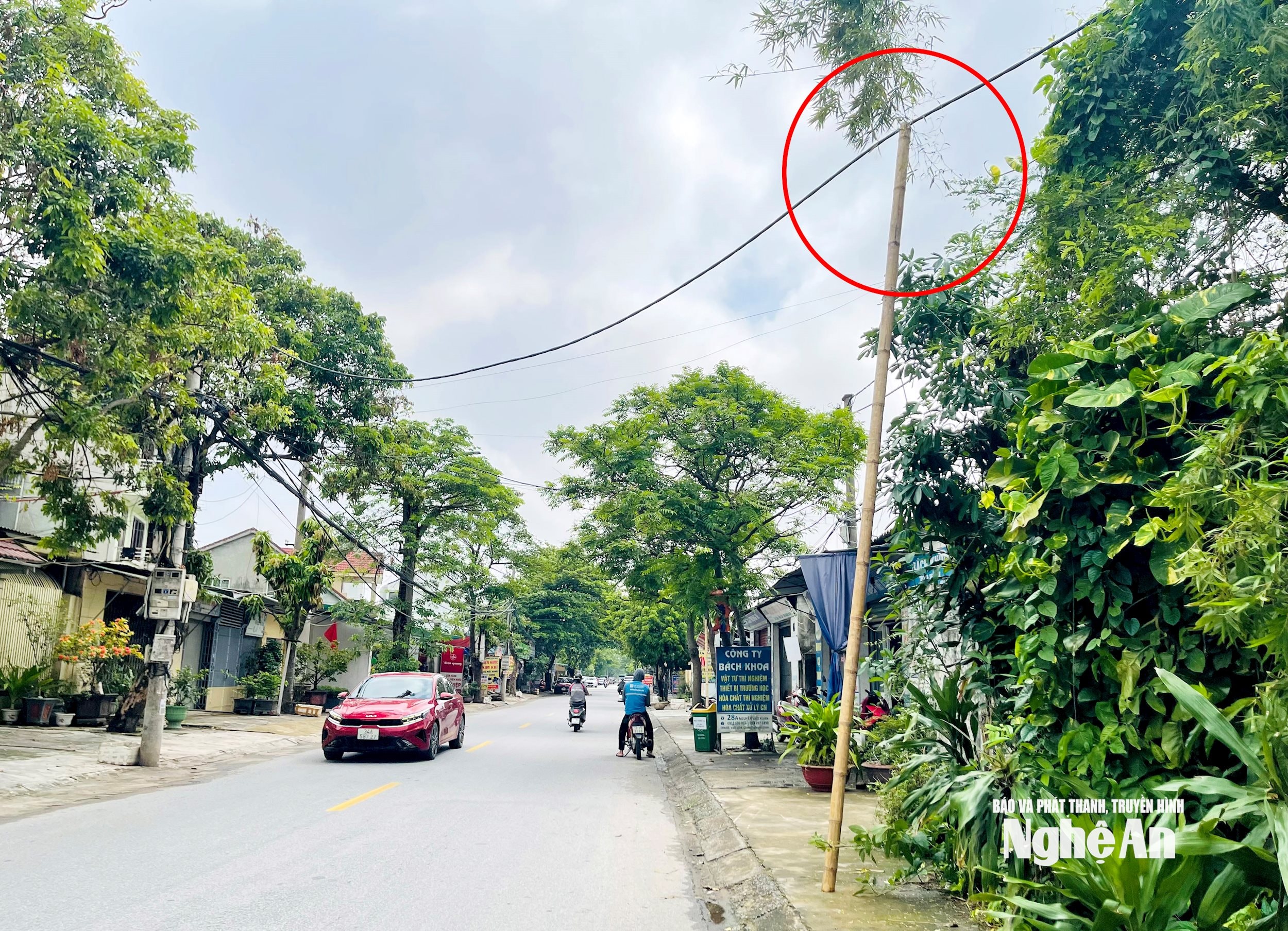 ការសរសេរនិទាឃរដូវ