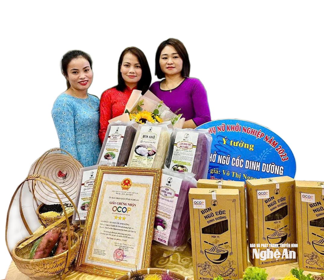 Các sản phẩm từ mô hình sản xuất bún khô dinh dưỡng – sản phẩm đạt chuẩn OCOP 3 sao của chị Võ Thị Ngọc Anh (SN 1989, xóm Rú Bạc, xã Hợp Minh).