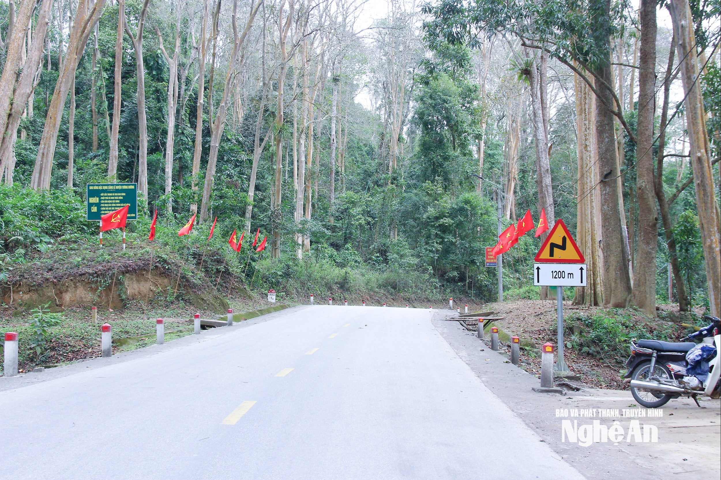 ป่าชายเลนทางตะวันตกของจังหวัดเหงะอาน ภาพโดย Mai Hoa