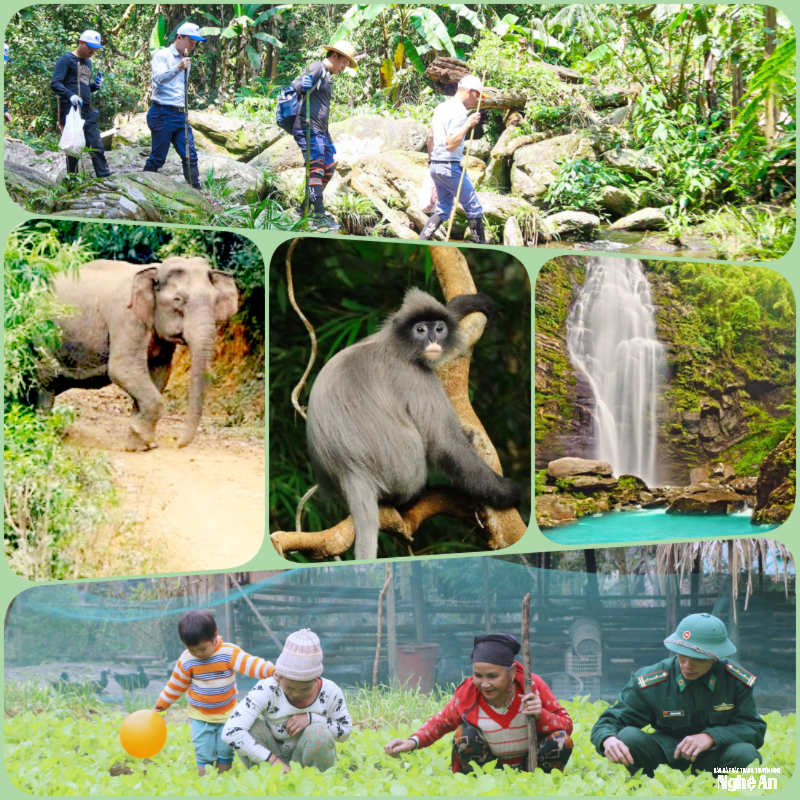 cac-hoat-dong-bao-ton-thien-nhien-phat-trien-kinh-te-xa-hoi-vung-loi-vuon-quoc-gia-pu-mat.-anh-pv-ctv.png
