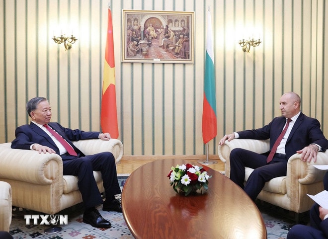 Tổng Bí thư Tô Lâm và Tổng thống Cộng hòa Bulgaria Rumen Radev hội đàm hẹp. (Ảnh: Thống Nhất/TTXVN) ttxvn-2310-tong-bi-thu-hoi-dam-hep-bulgaria-4.jpg