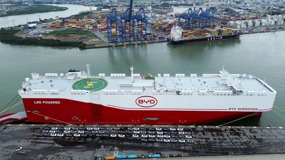 Xe BYD lưu trữ tại bãi đỗ Jamberoo Action Park, Australia