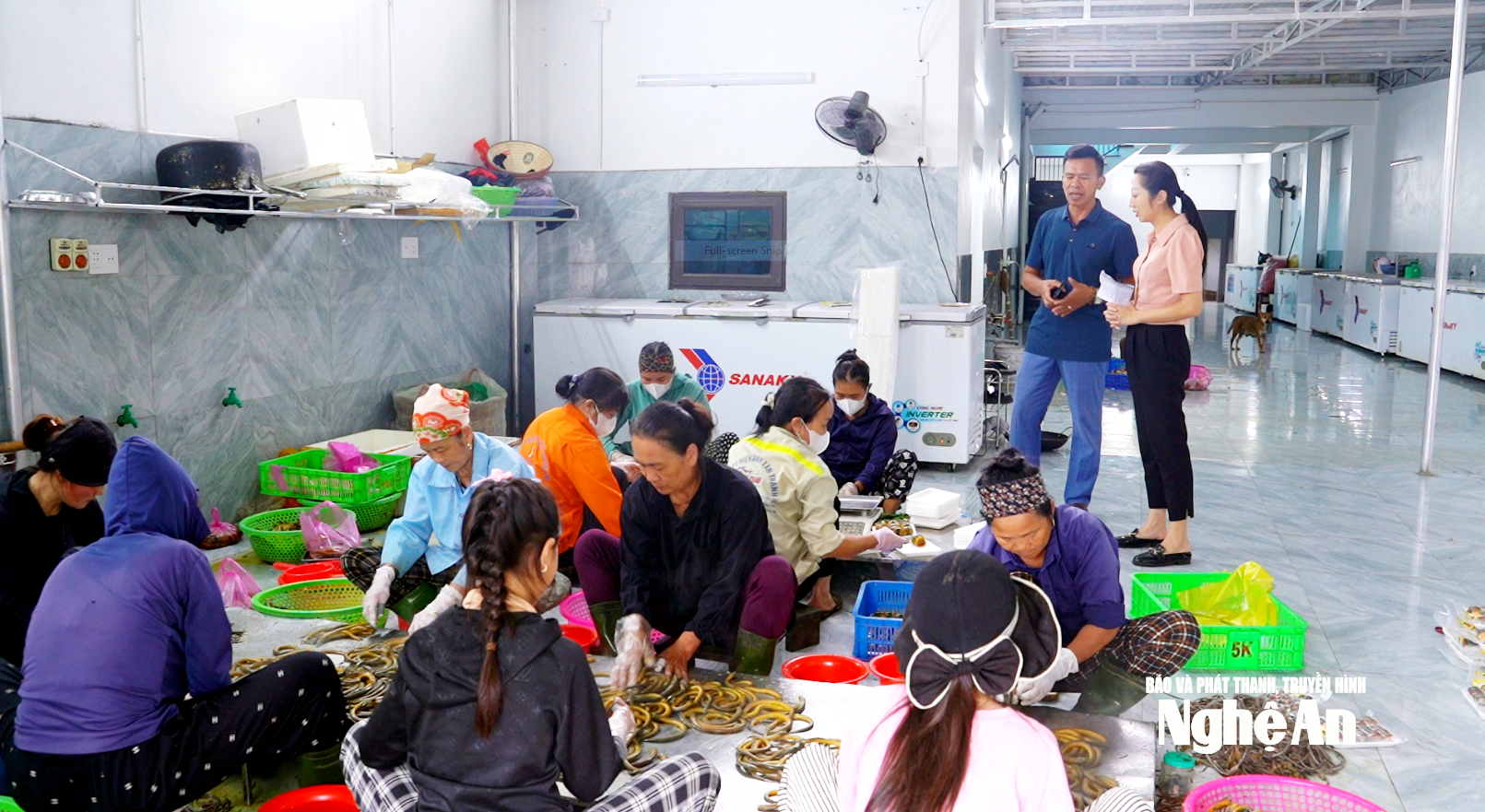 Ông Nguyễn Văn Hiến, Giám đốc HTX làng nghề lươn Phan Thanh, xã Hợp Minh trao trao đổi với phóng viên về lợi ích của mô hình thôn xóm thông minh.