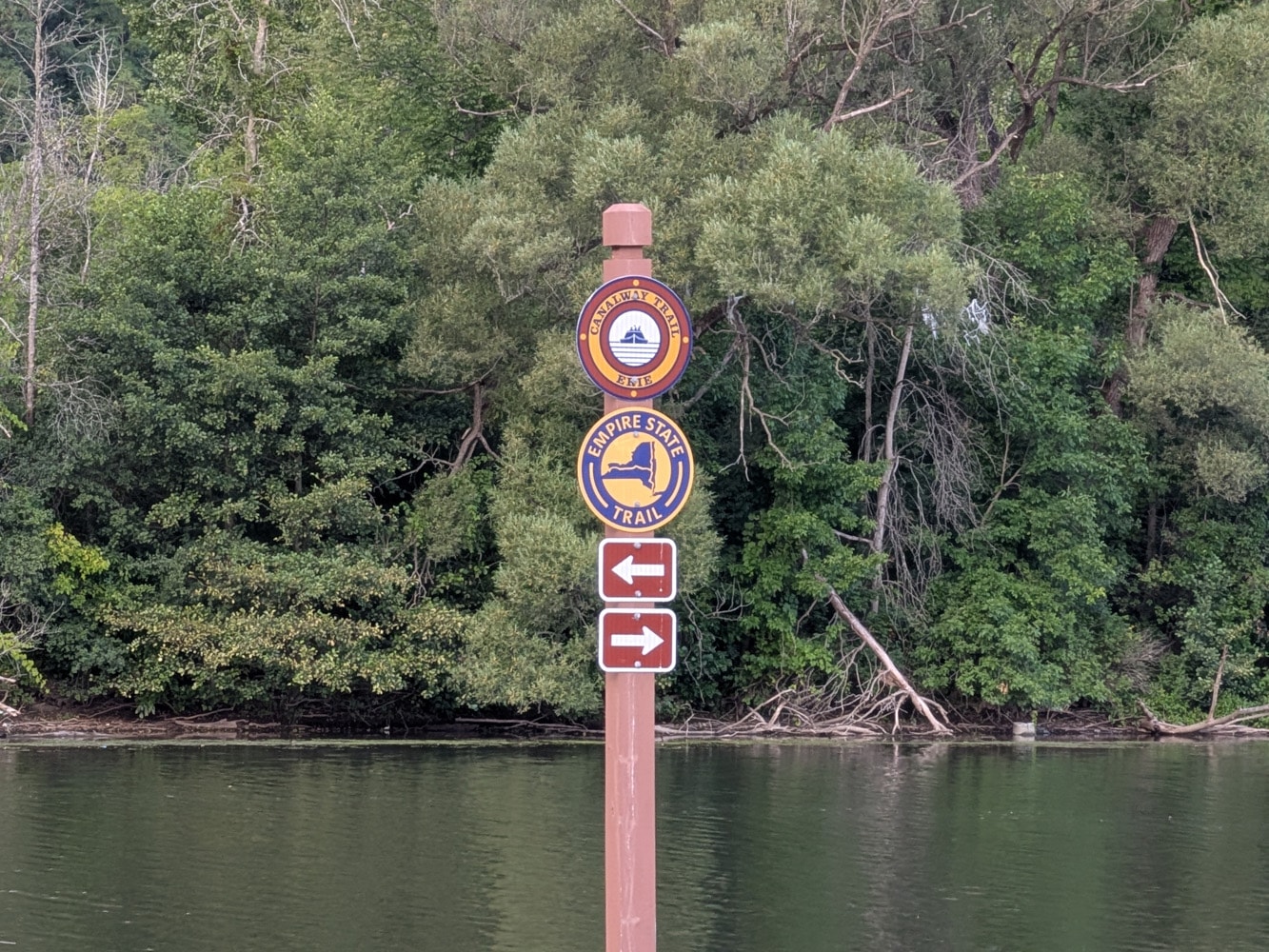 Mẫu ảnh chụp từ Pixel 10