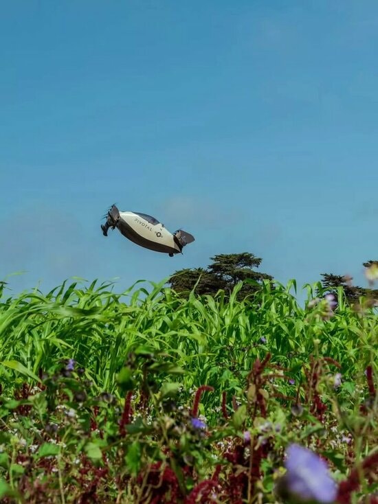 1761012327599.jpeg 1761012327599.jpeg