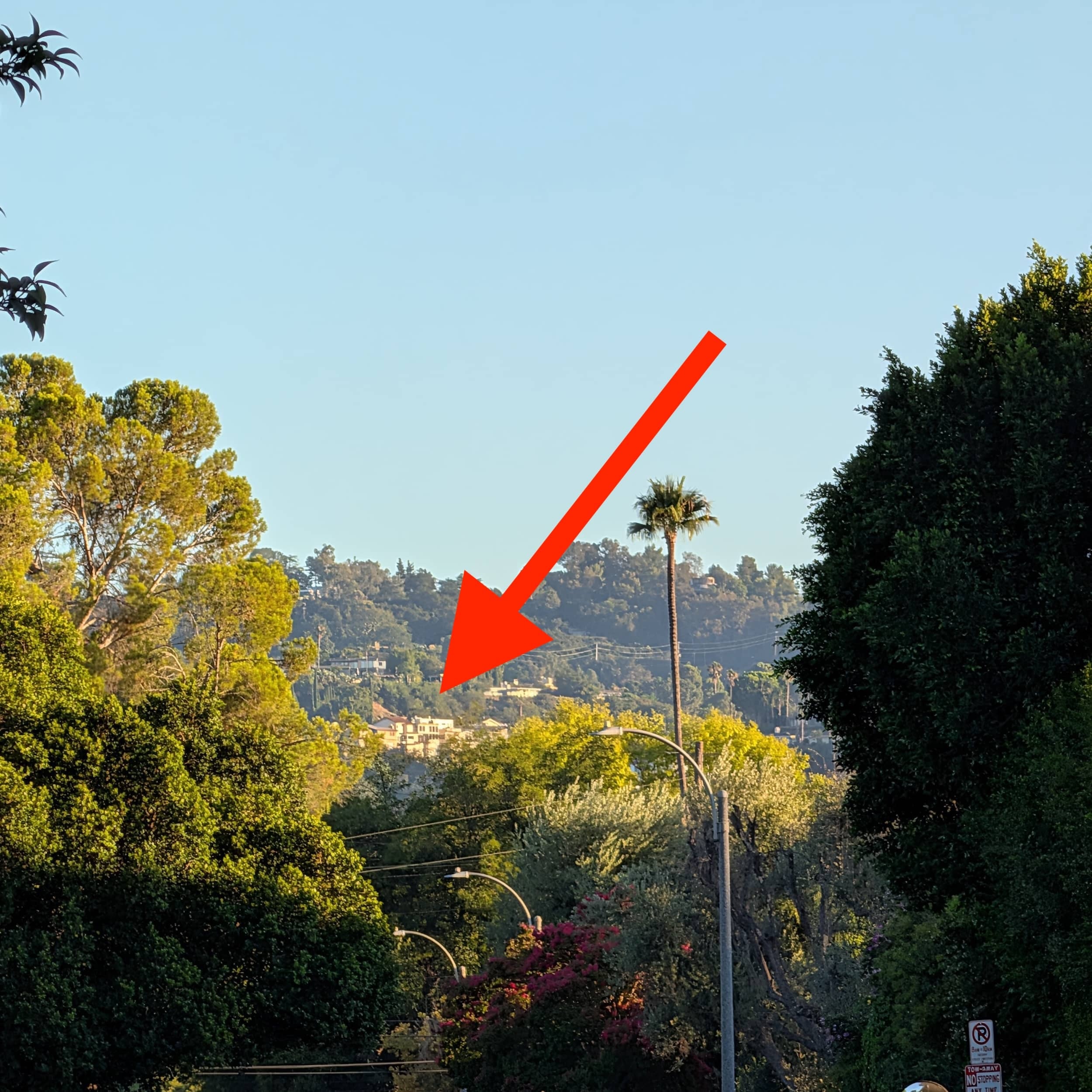 Ảnh chụp zoom 10x từ Pixel 10 Pro