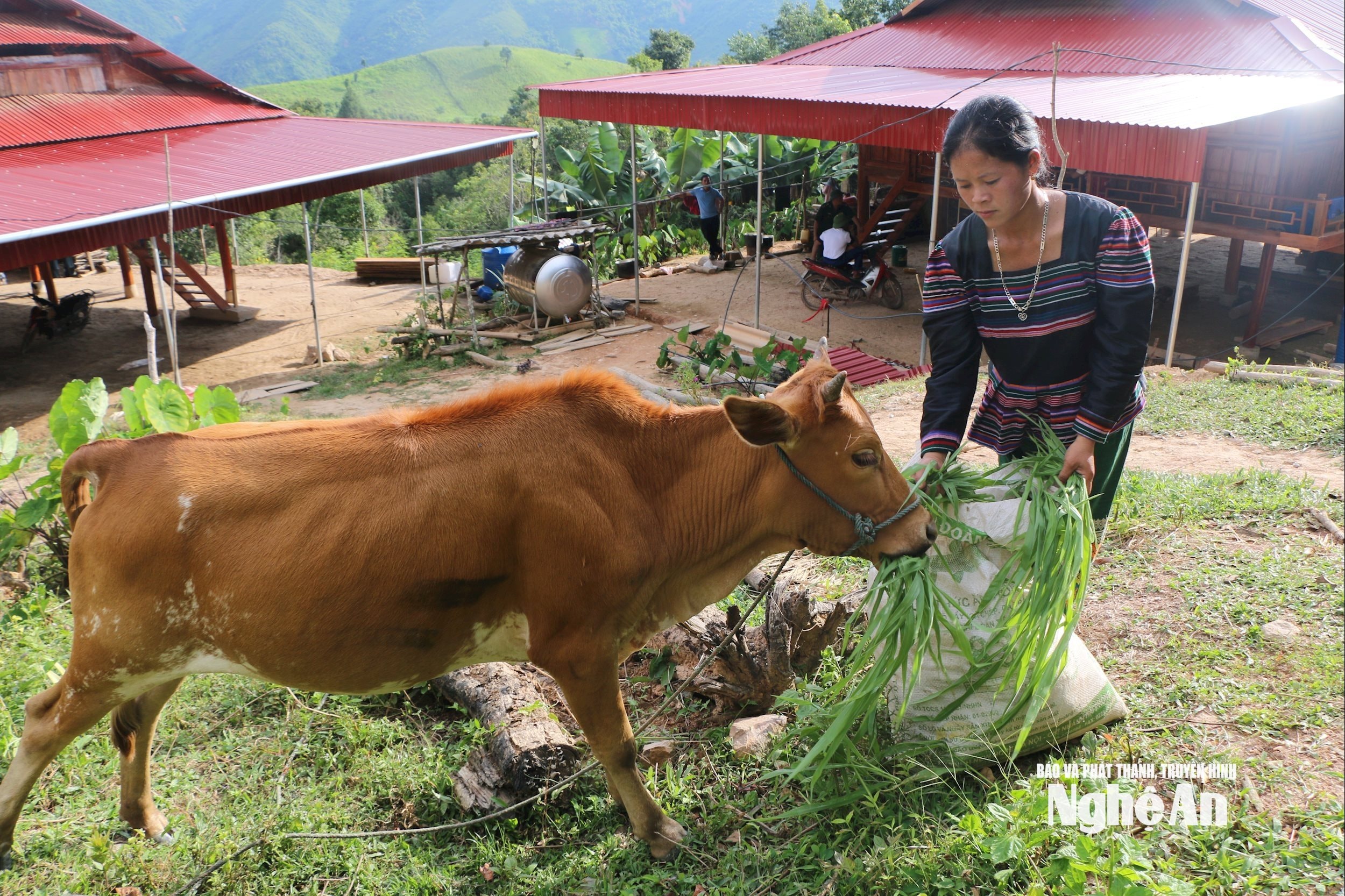 Cô dâu gốc Lào Lương Thị Xốm có cuộc sống ổn định, hạnh phúc tại bản Kèo Cơn xã Keng Đu. Ảnh KL