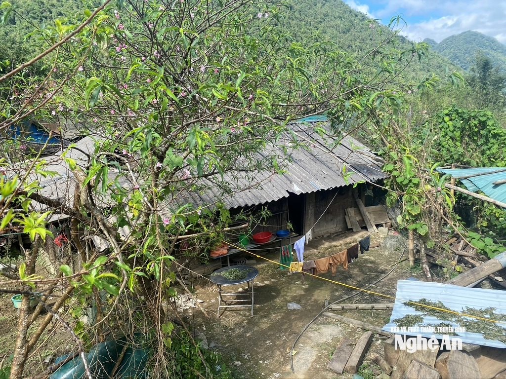 វ៉ាន់ ទ្រុង ៣