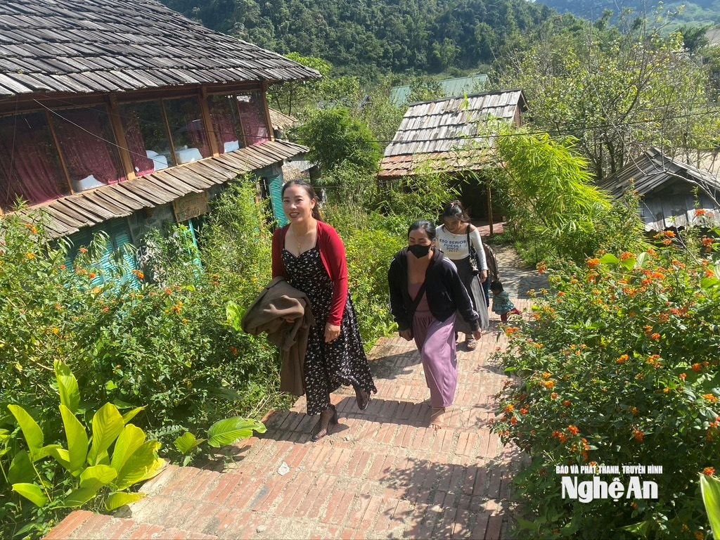 វ៉ាន់ទ្រុង m45677