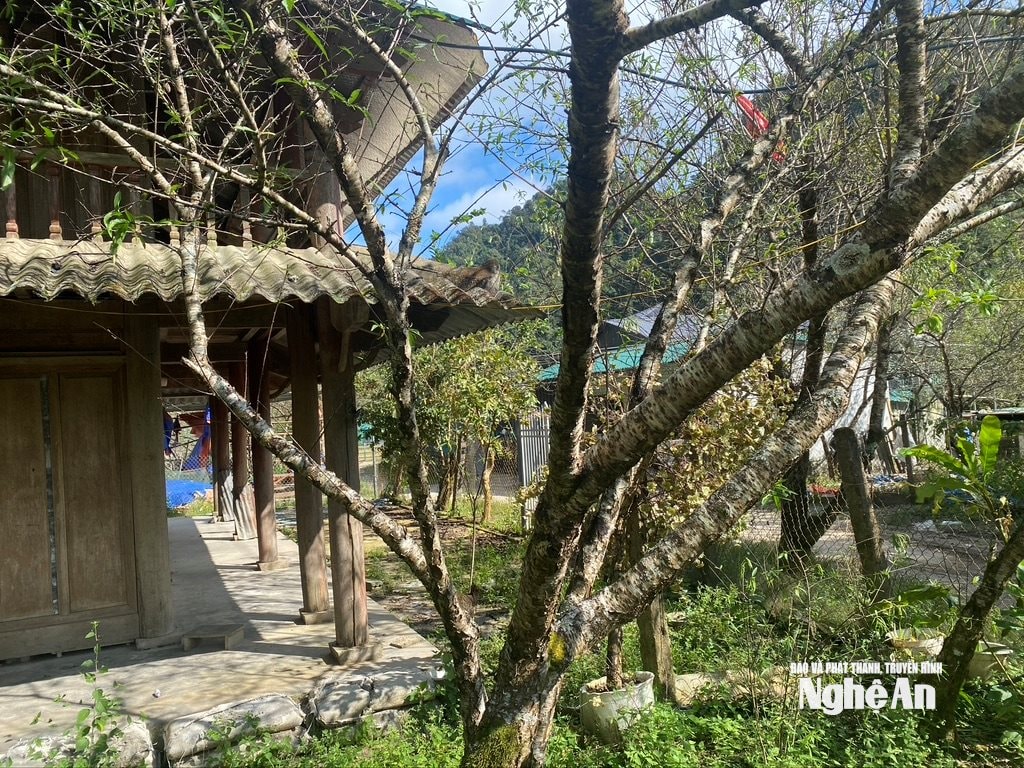 វ៉ាន់ ទ្រុង ម៉ុតធី