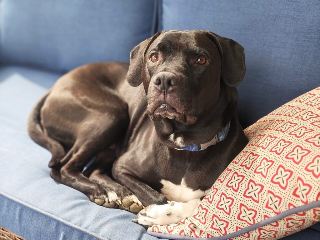 Ảnh chụp từ camera Nothing Phone (3a).