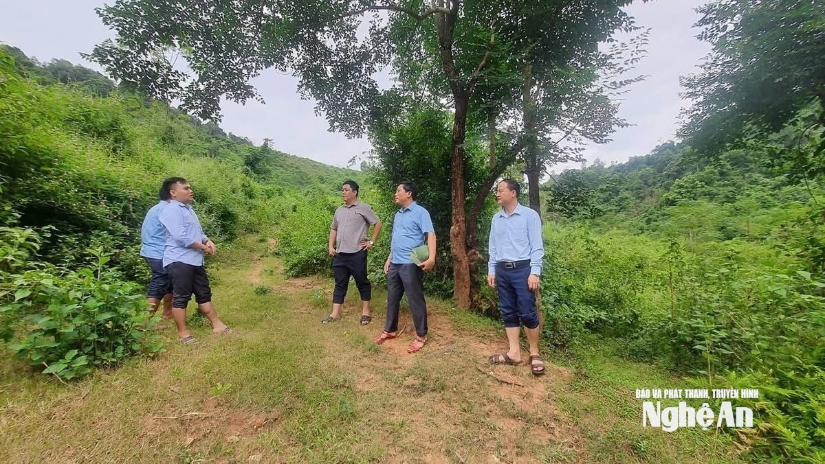 Lãnh đạo xã Yên Na khảo sát bàn phương án khai thác hiệu quả quỹ đất tại khe Quắn.